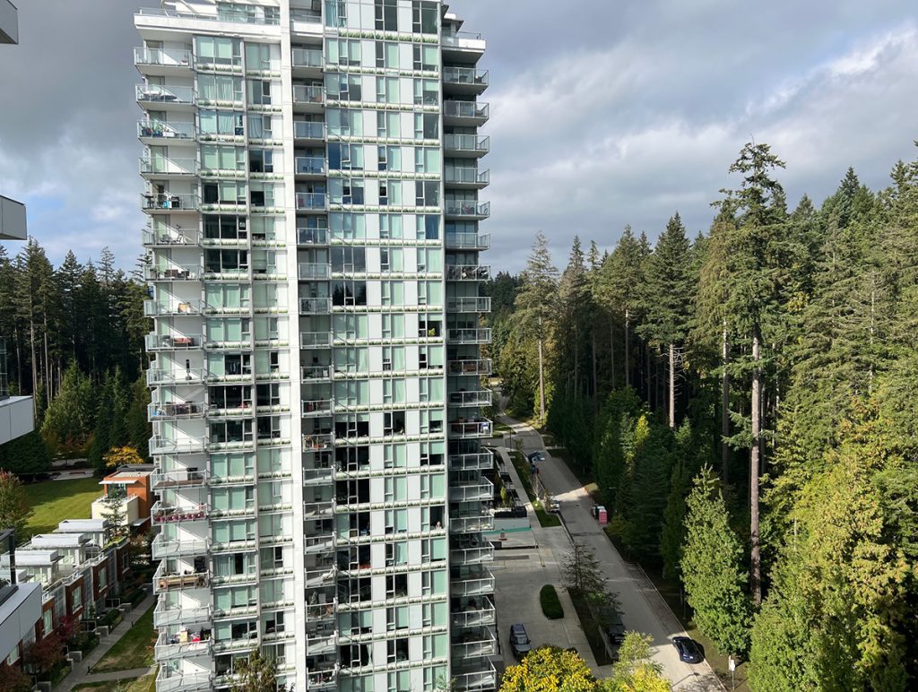 Tree Inventory Project Underway on Campus