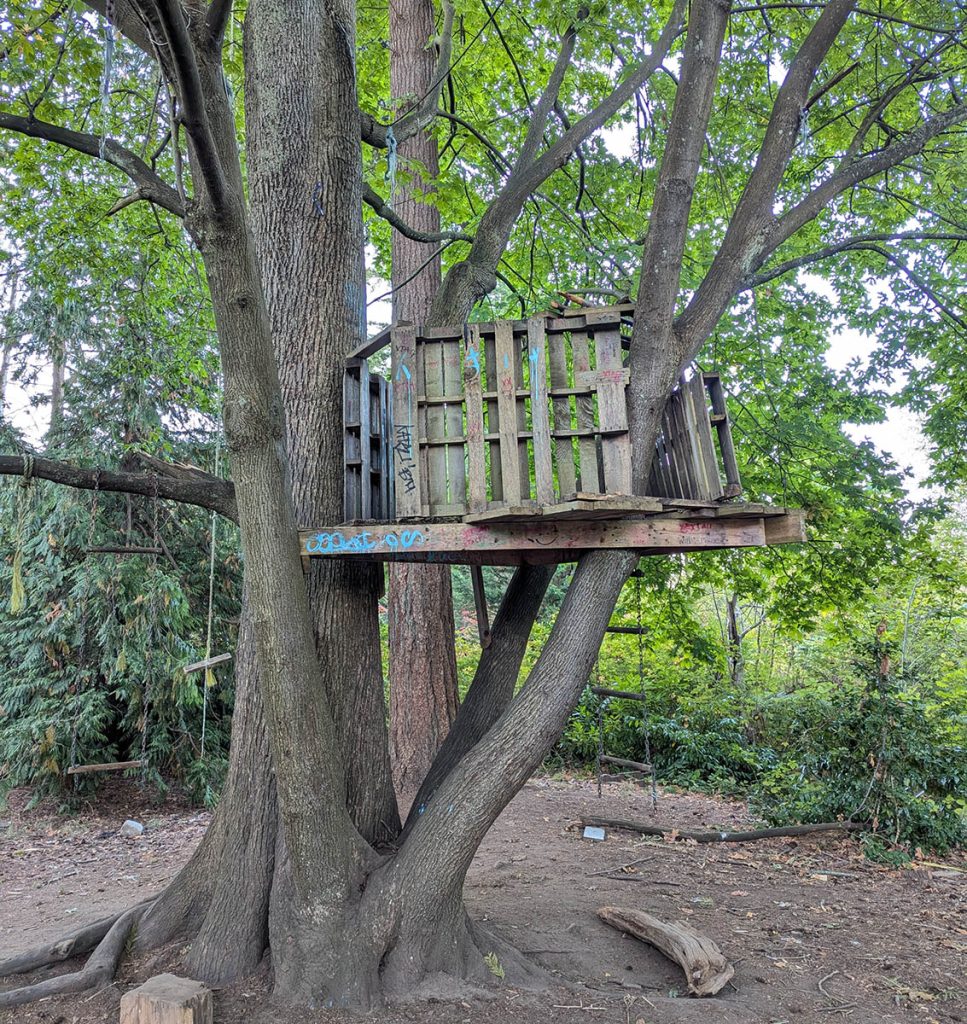 Beloved Treehouse Demolished