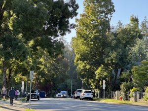 UNA Launches Review of School Walking Routes